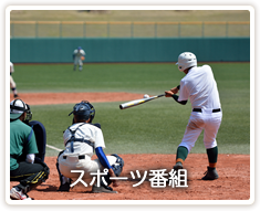 スポーツ番組